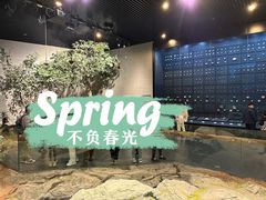 -北京周口店北京人遗址博物馆