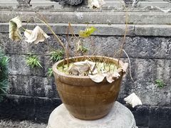 -韬光茶庵