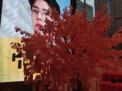 -棱石眼镜(CP静安店)