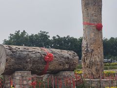 -北京凤凰岭