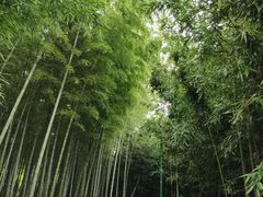 -浙江大学(玉泉校区)