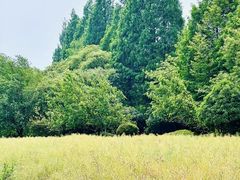 -八卦田遗址公园