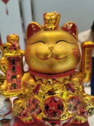 -Dr.林醫生产后修复·配方产康店(南京大厂店)