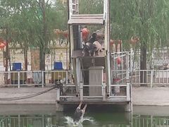 -北京鹿世界主题园