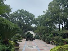 -南山植物园