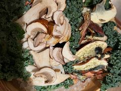 -蘑界·野生菌火锅(深业上城店)