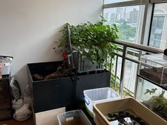 -灵龟之家百象馆(百象馆联合旗舰店)