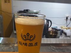 -玩啤国度精酿啤酒(宝山店)