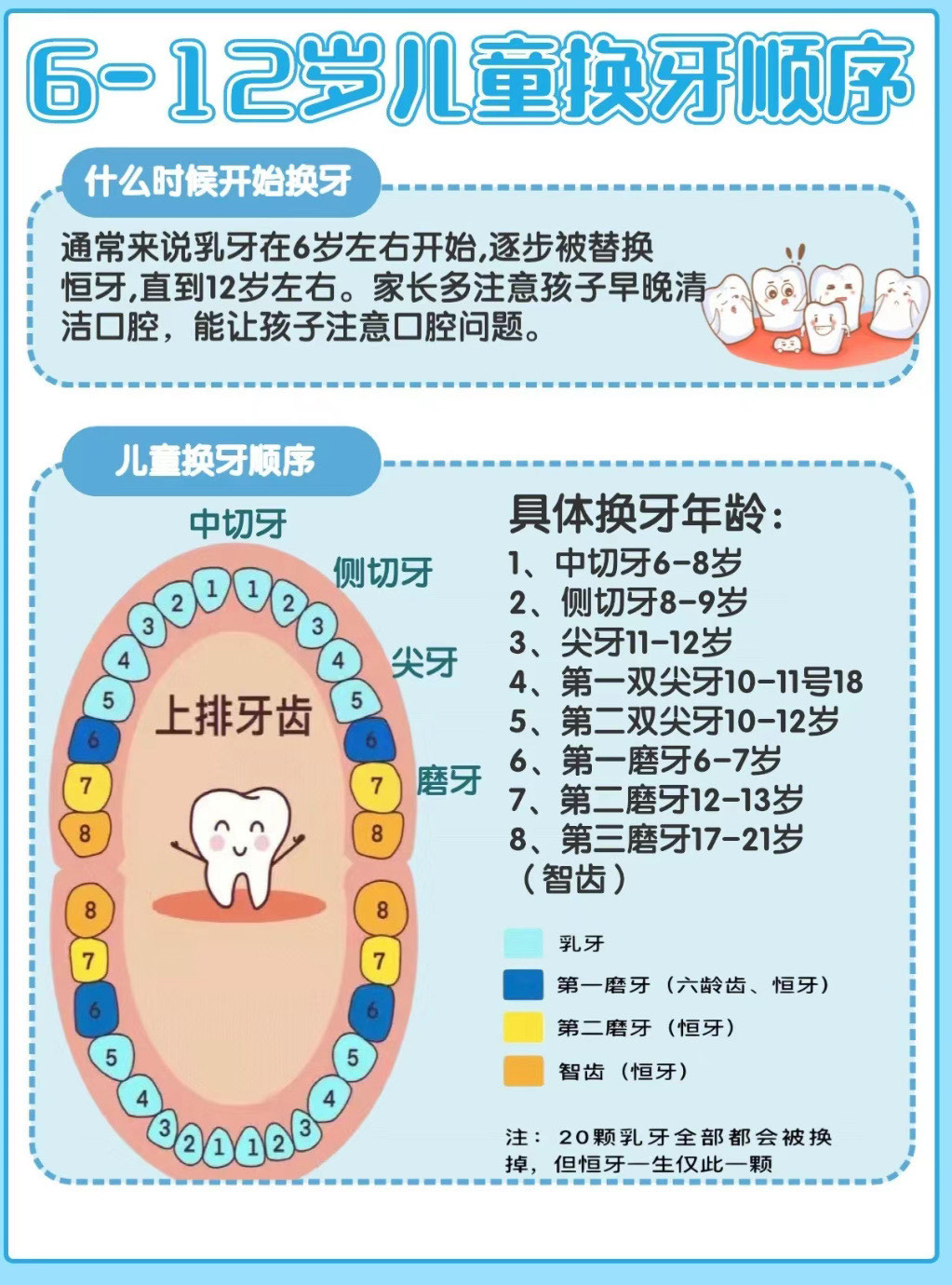 宝宝换牙注意事项图片