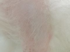 -联合动物医院(光谷诊疗中心)