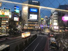 -涩谷区