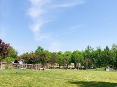 -爪吧宠物乐园 (温榆河示范区店)