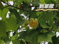 -国家植物园南园