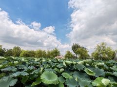 -云龙湖旅游景区