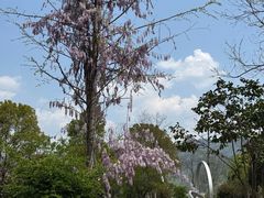 -黟县屏山村