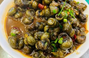 Stewed Snails in Sauce