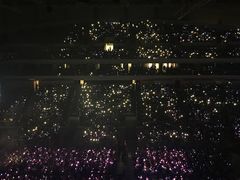 -南京奥林匹克体育中心-体育馆