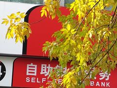 -中信银行(天津分行营业部)