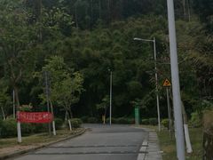 -火炉山森林公园