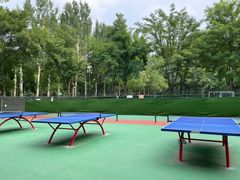 -大兴滨河森林公园