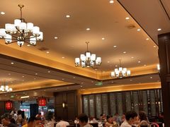 大堂-宝园酒家(美林M·LIVE天地东座店)