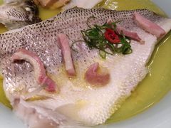 非一般鲈鱼-港丽餐厅