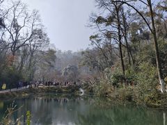 -岳麓山风景名胜区