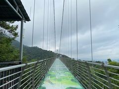 -南丹山森林王国