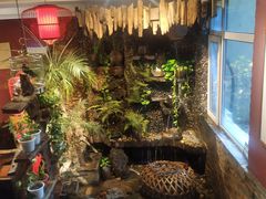 -大匠工房古船木艺术餐厅·猪肚鸡专门店(长白仙岛店)
