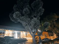 -Big Bamboo 大竹子体育主题餐厅(虹梅路店)