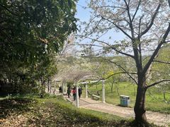 -苏州上方山国家森林公园
