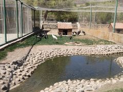 -新疆天山野生动物园