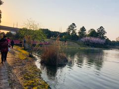 -美兰湖景区