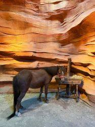 -酷嗒动物文化乐园(cutezoo西溪乐天城店)