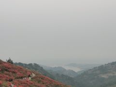 -木兰云雾山