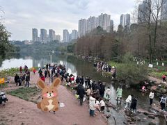 -重庆彩云湖湿地公园
