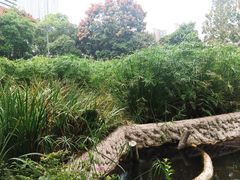 -成都市活水公园