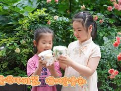 -金豆子幼稚园