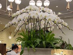 -鹿港小镇(霄云店)