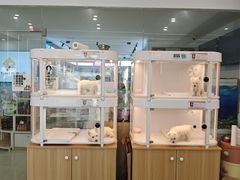 -翊宠yipet猫狗购宠庄园犬舍•猫舍