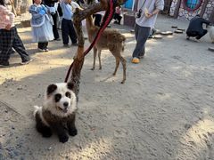 -茅山东方盐湖城景区