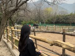 -西安秦岭野生动物园