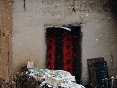 -杨家堂村