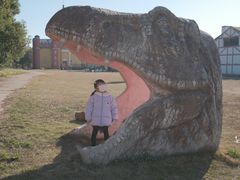 -环球公园