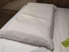 -西安大雁塔科技大学地铁站亚朵酒店