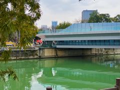 -成都市活水公园