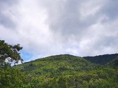 -海南热带雨林国家公园吊罗山景区