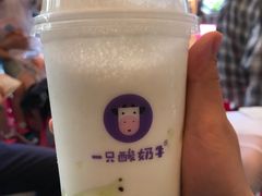 -一只酸奶牛(八一路店)