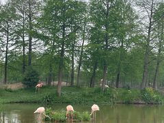 -宁波杭州湾国家湿地公园