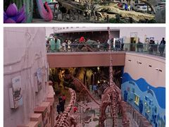 -陕西自然博物馆